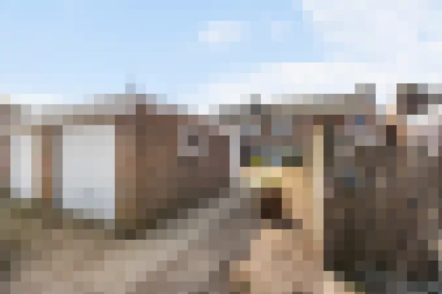 Margarethastraat 10 Ittervoort thumbnail 34