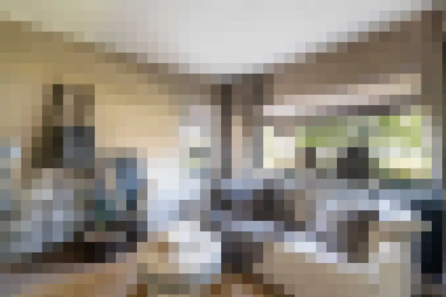Margarethastraat 11 Ittervoort thumbnail 15