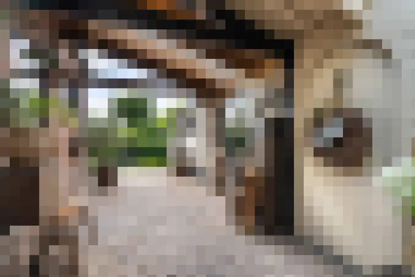 Margarethastraat 11 Ittervoort thumbnail 41