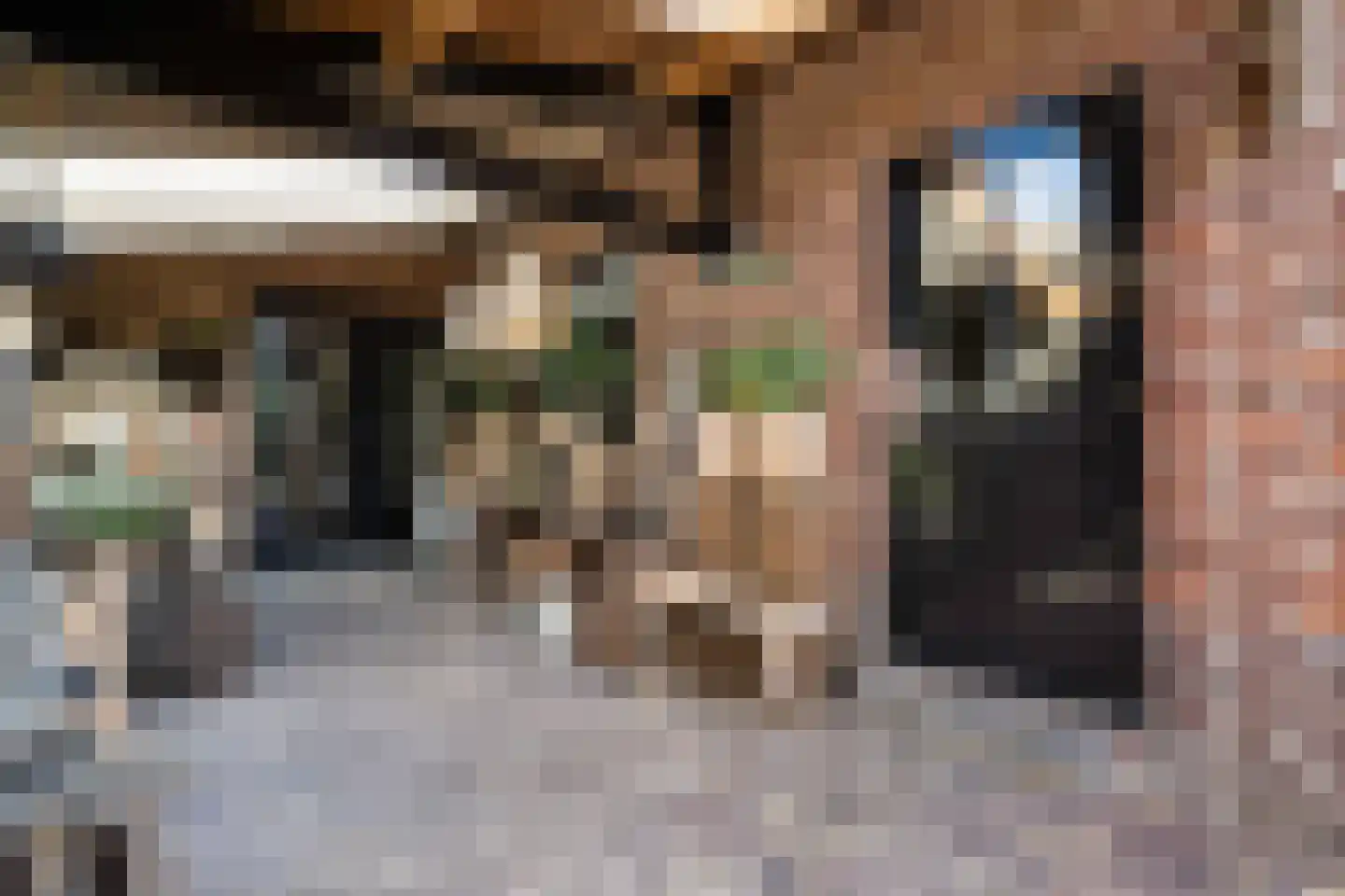Margarethastraat 11 Ittervoort thumbnail 42