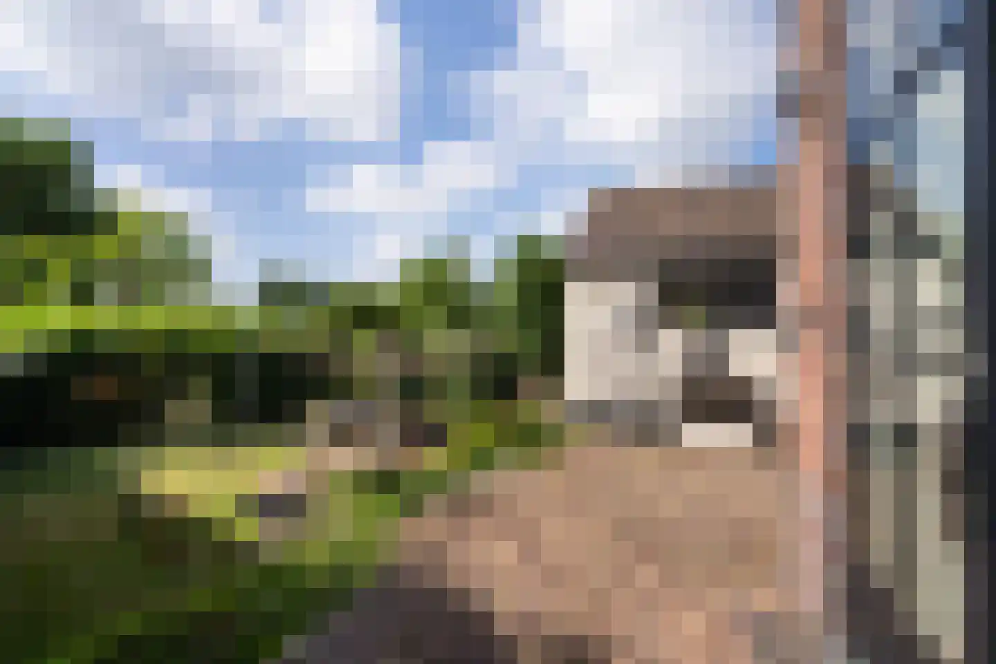 Margarethastraat 11 Ittervoort thumbnail 45