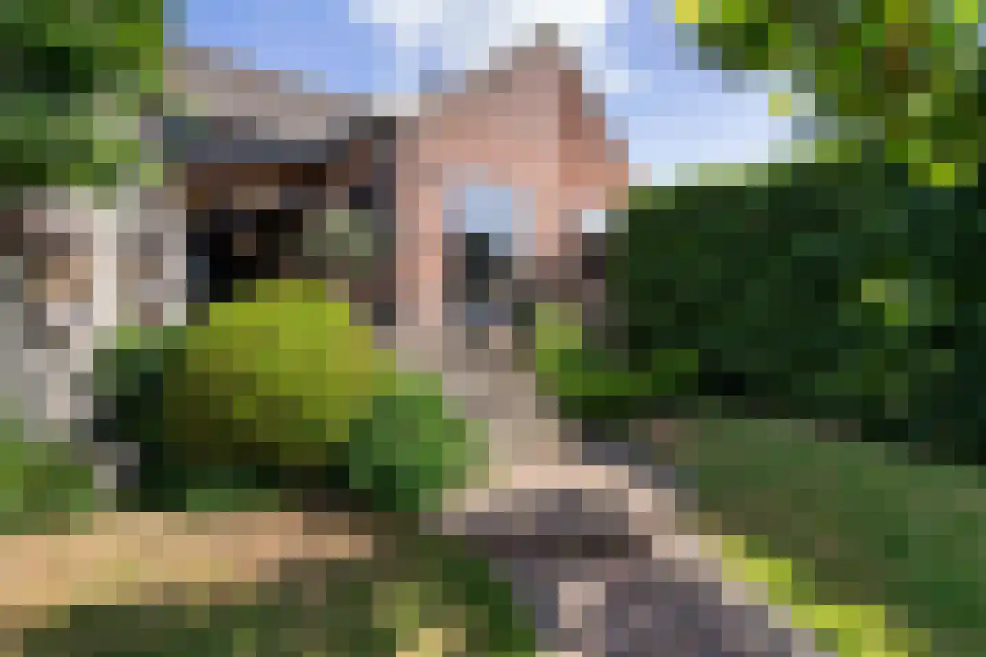Margarethastraat 11 Ittervoort thumbnail 46