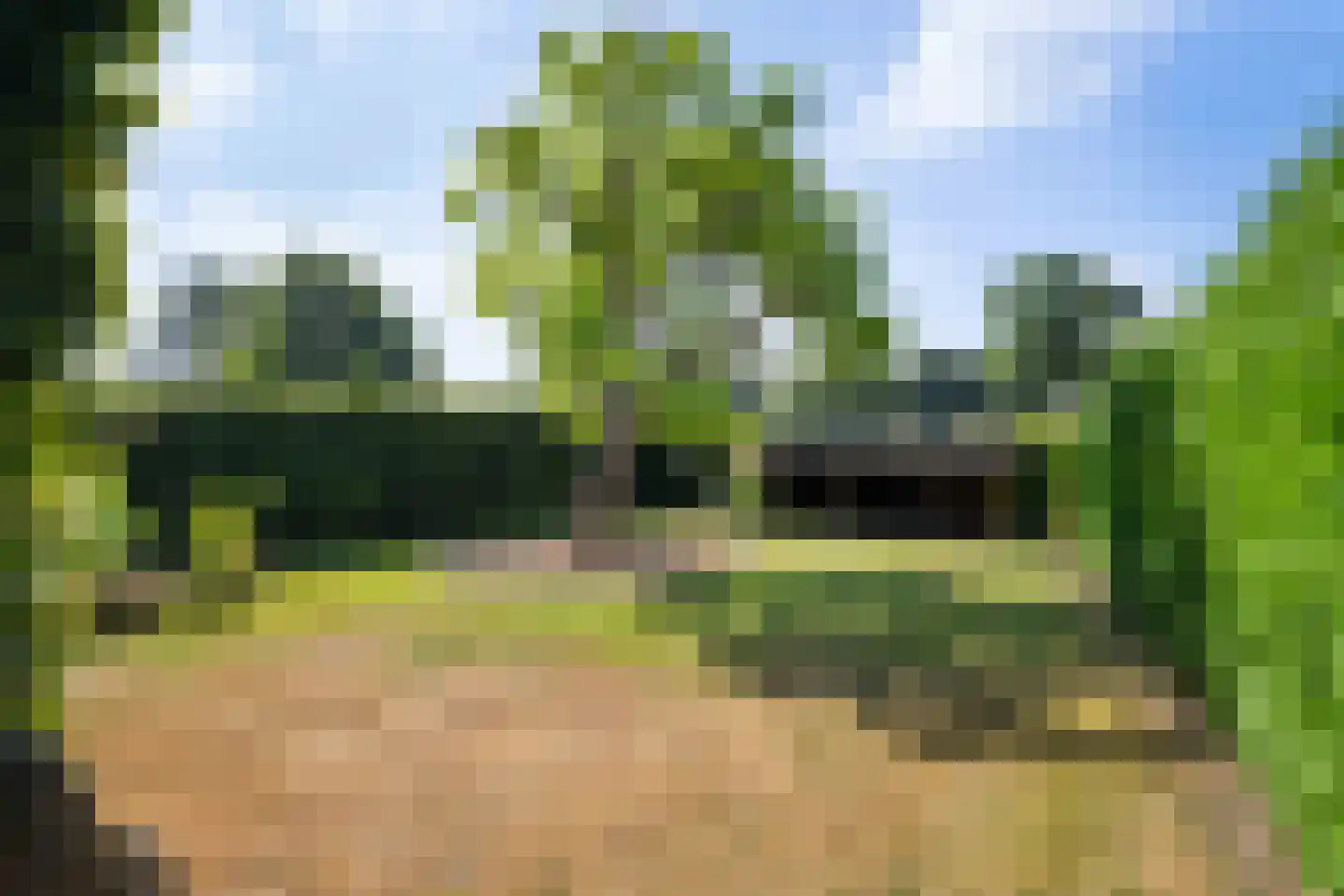 Margarethastraat 11 Ittervoort thumbnail 50