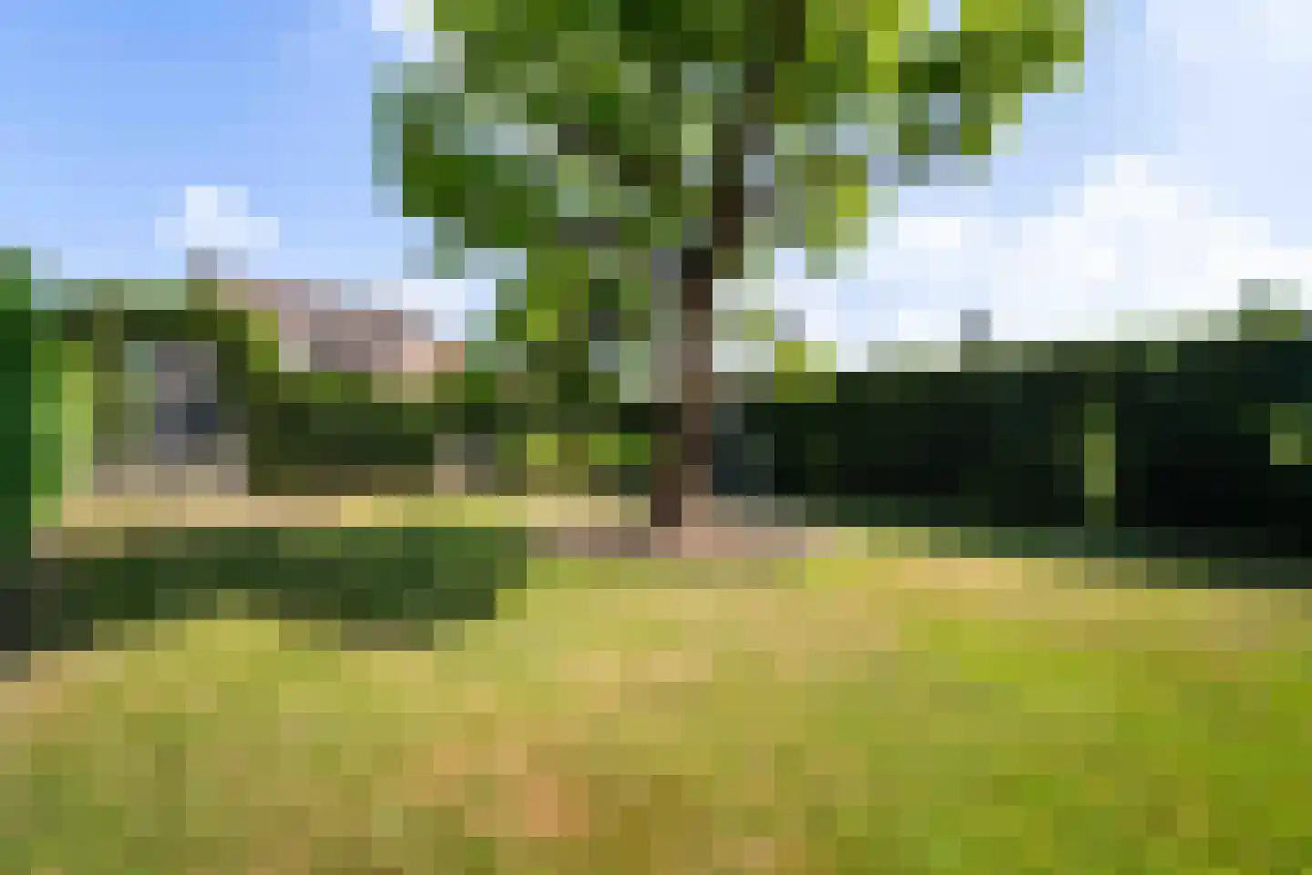 Margarethastraat 11 Ittervoort thumbnail 51