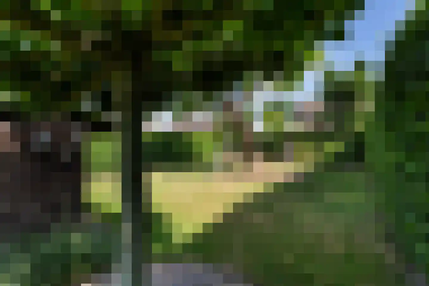 Margarethastraat 11 Ittervoort thumbnail 52