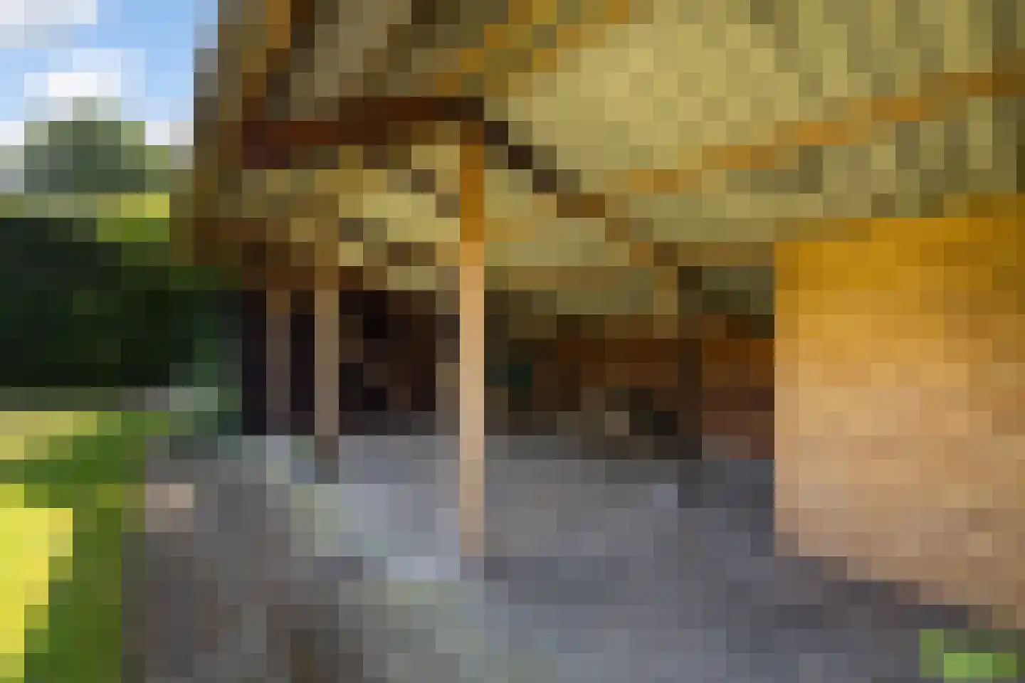 Margarethastraat 11 Ittervoort thumbnail 53