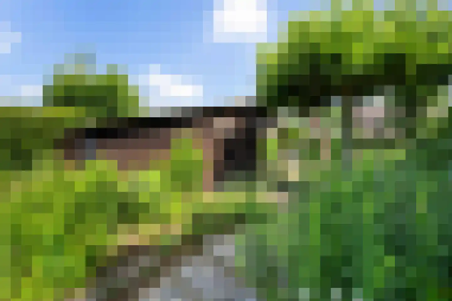 Margarethastraat 11 Ittervoort thumbnail 54