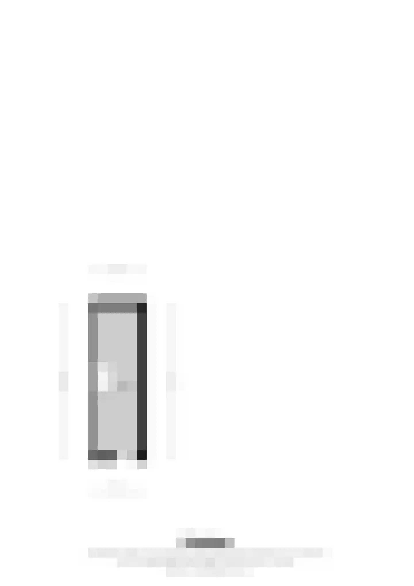 Margarethastraat 11 Ittervoort thumbnail 66