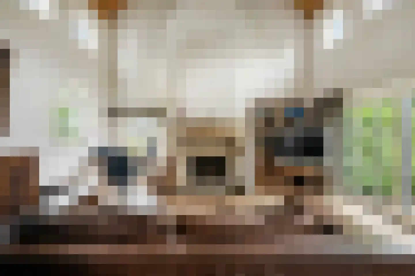 Margarethaweg 4 Oostburg thumbnail 11