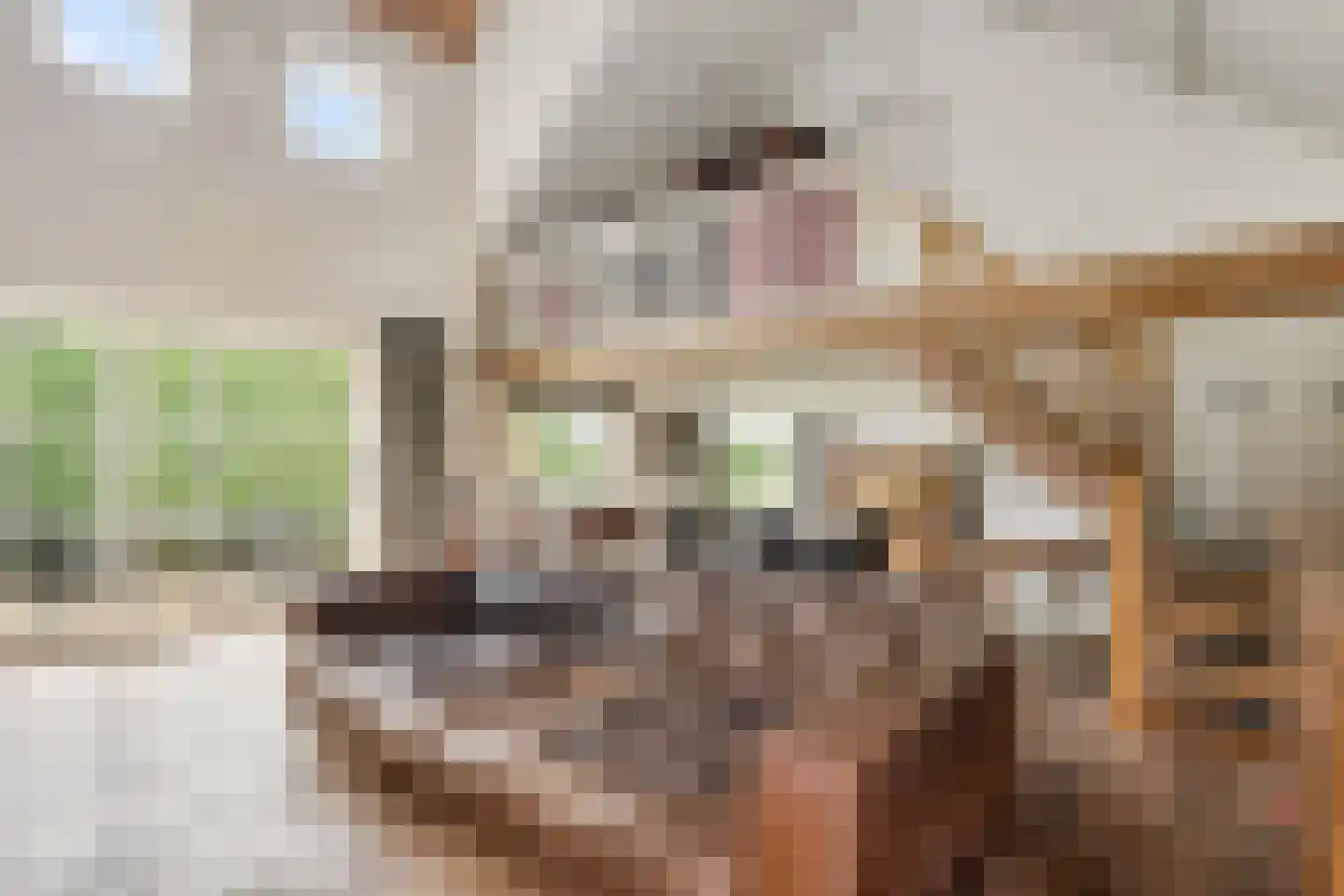Margarethaweg 4 Oostburg thumbnail 12