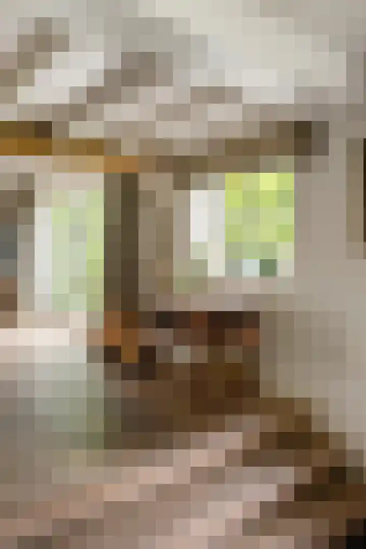 Margarethaweg 4 Oostburg thumbnail 13
