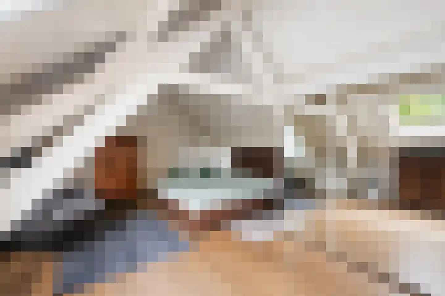 Margarethaweg 4 Oostburg thumbnail 22