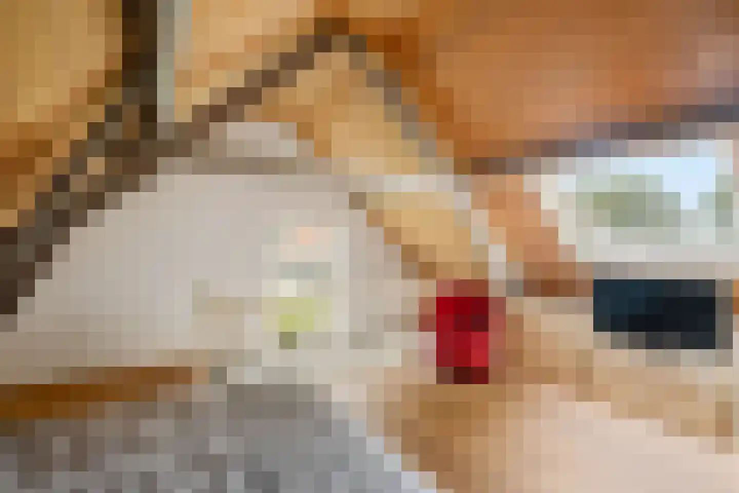 Margarethaweg 4 Oostburg thumbnail 28