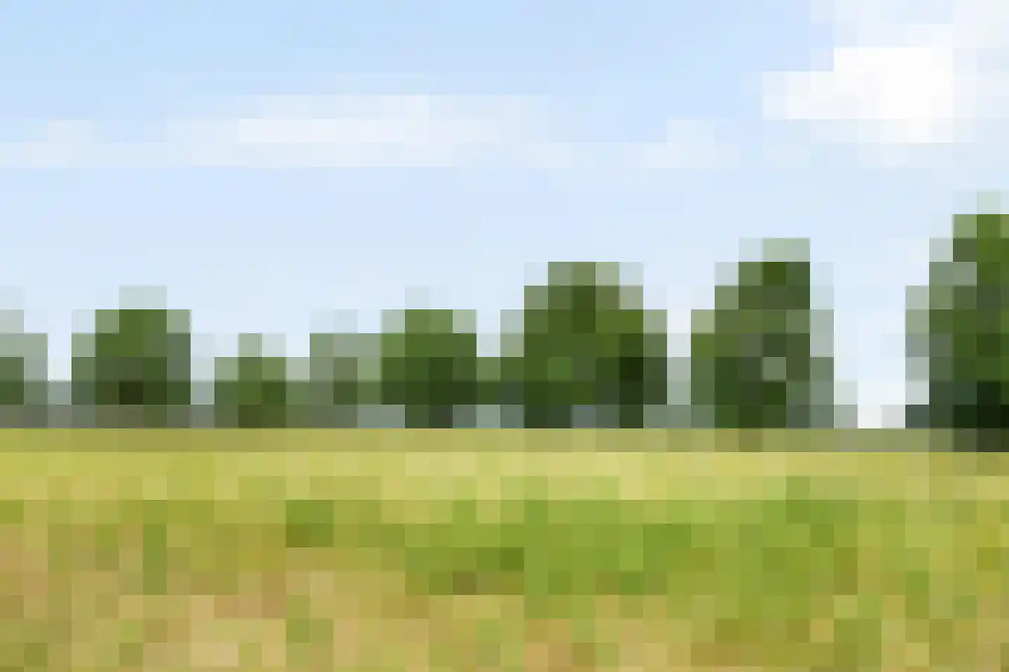 Margarethaweg 4 Oostburg thumbnail 35