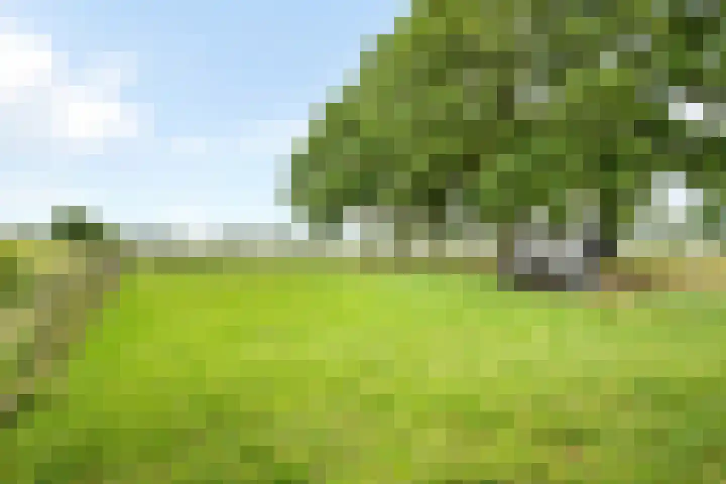 Margarethaweg 4 Oostburg thumbnail 36