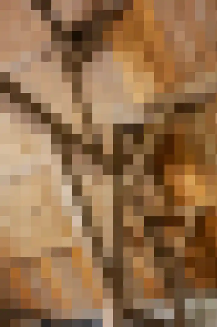 Margarethaweg 4 Oostburg thumbnail 39