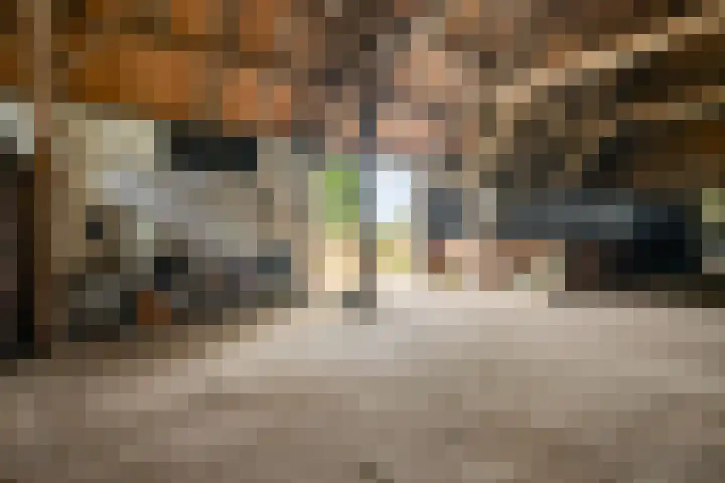 Margarethaweg 4 Oostburg thumbnail 44