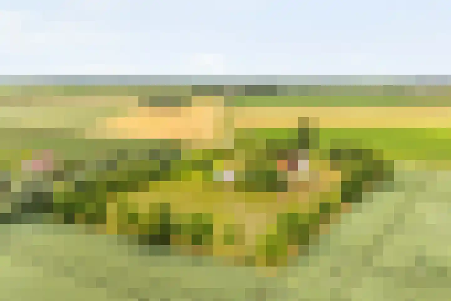 Margarethaweg 4 Oostburg thumbnail 45