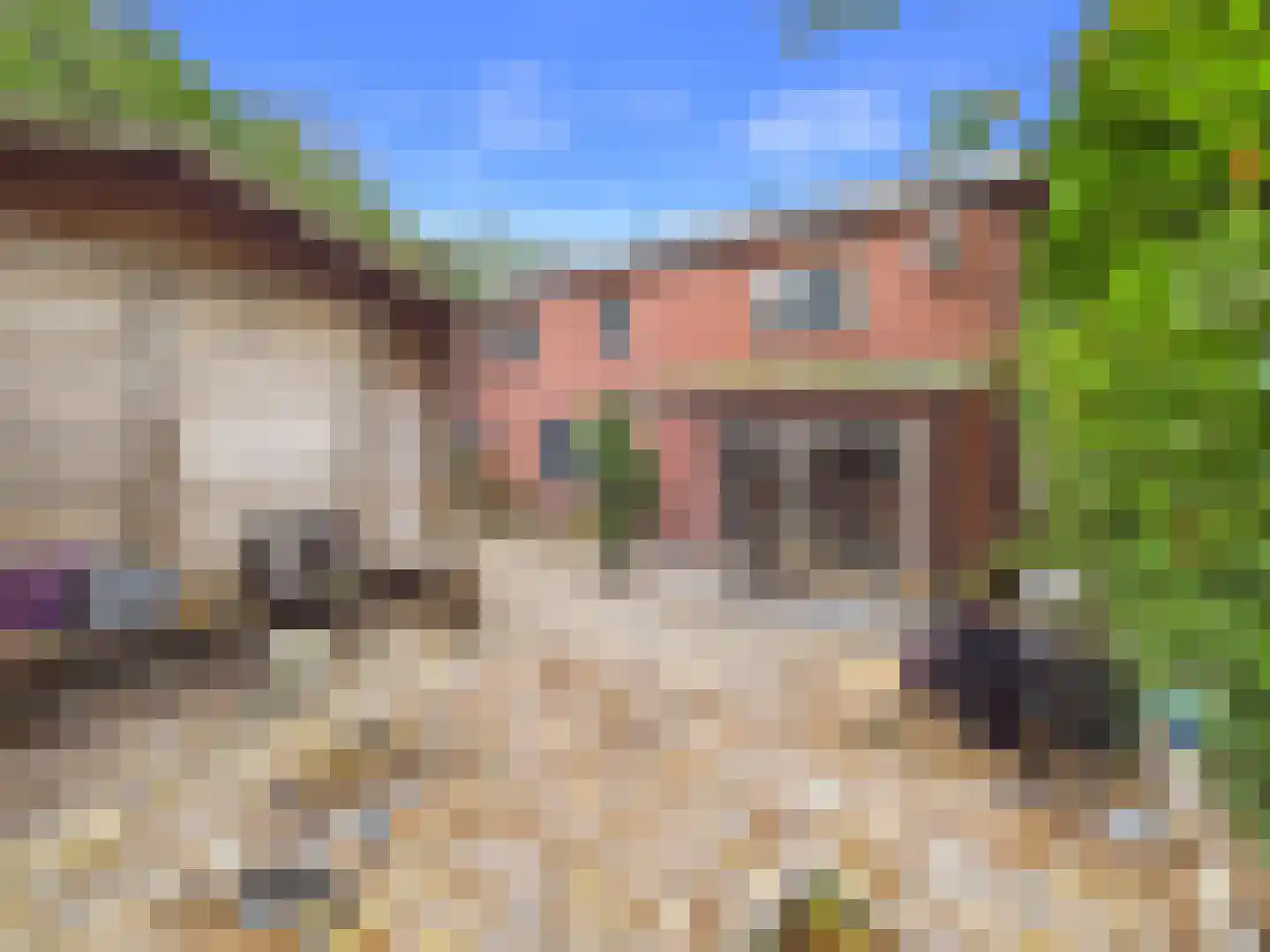 Margaretsedijk 40 Hengstdijk thumbnail 37