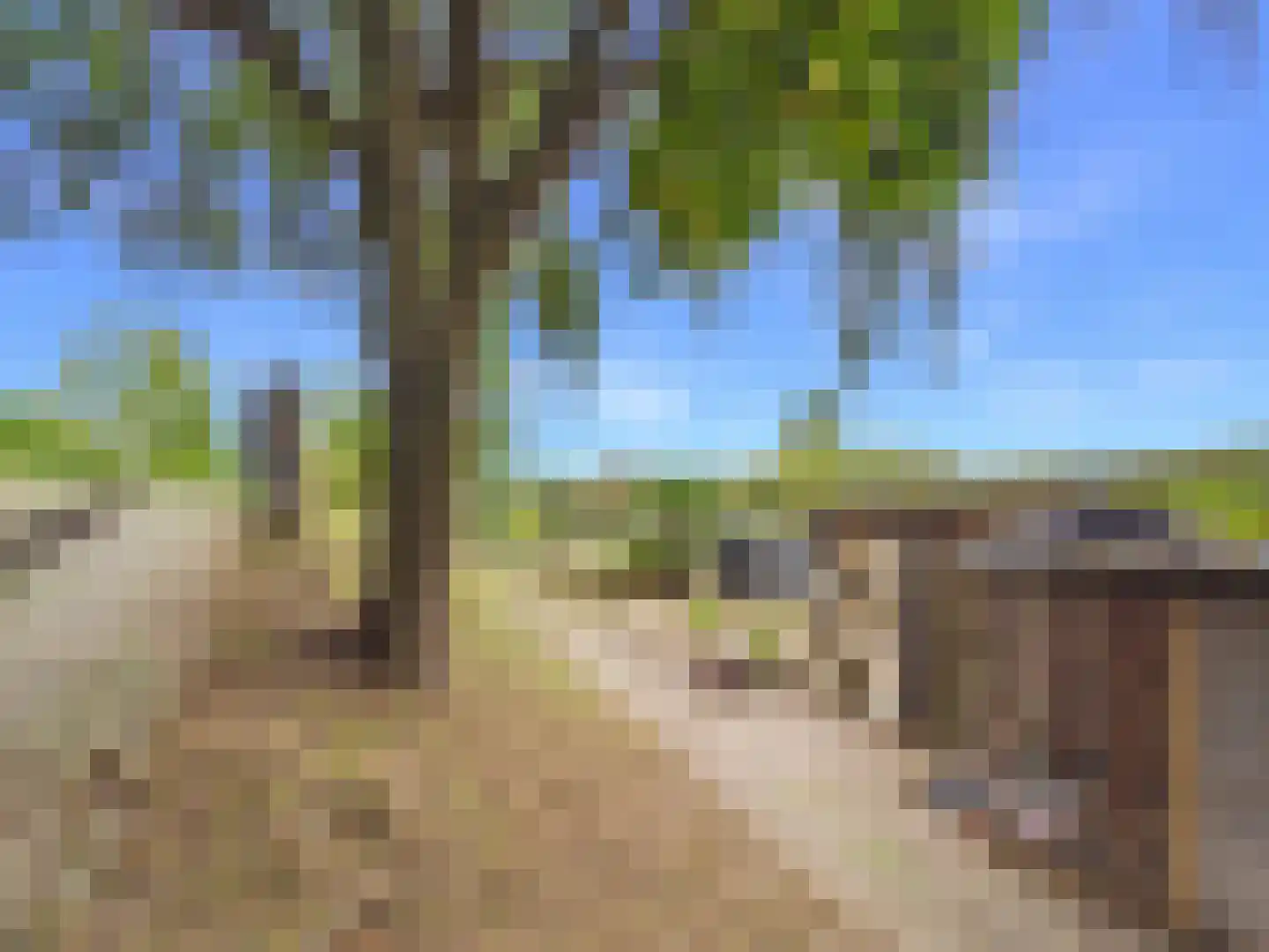 Margaretsedijk 40 Hengstdijk thumbnail 40