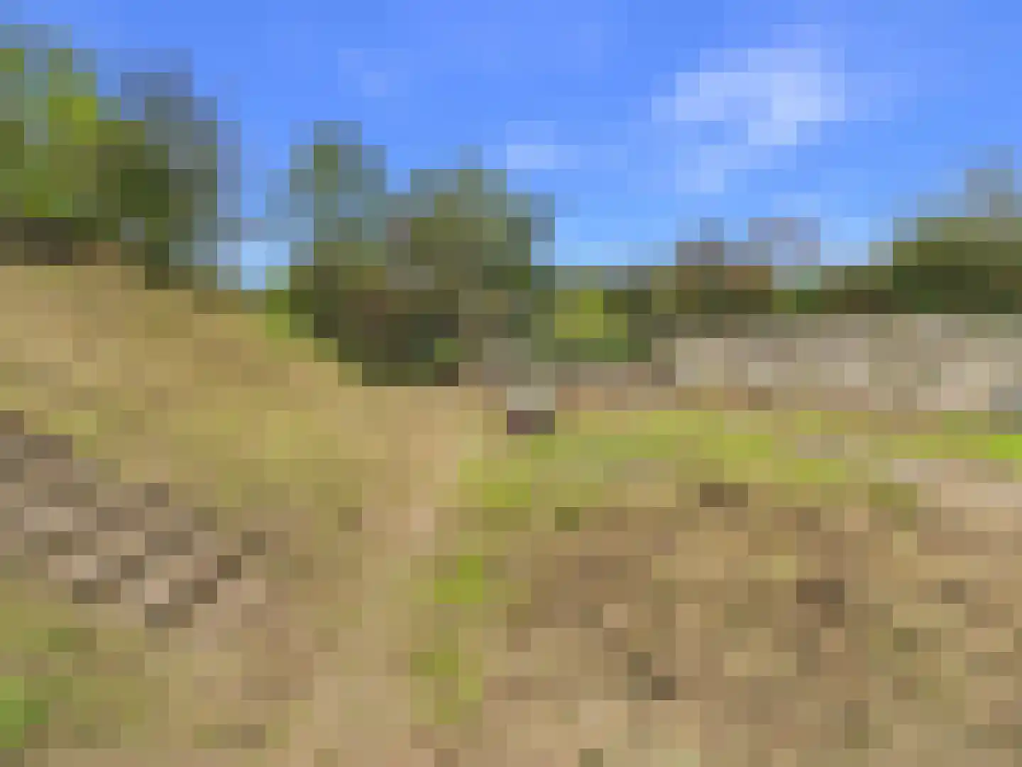 Margaretsedijk 40 Hengstdijk thumbnail 43