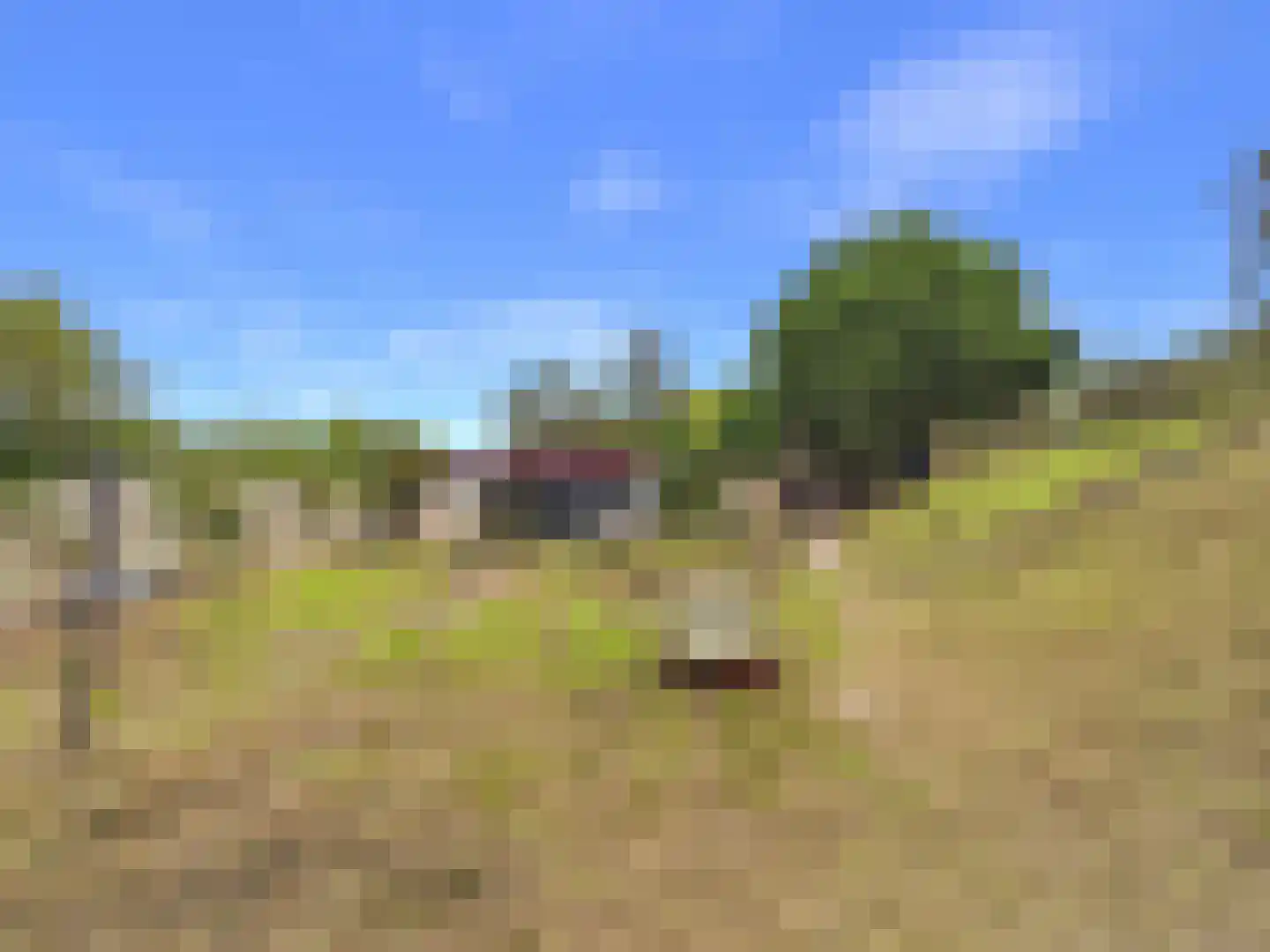 Margaretsedijk 40 Hengstdijk thumbnail 45