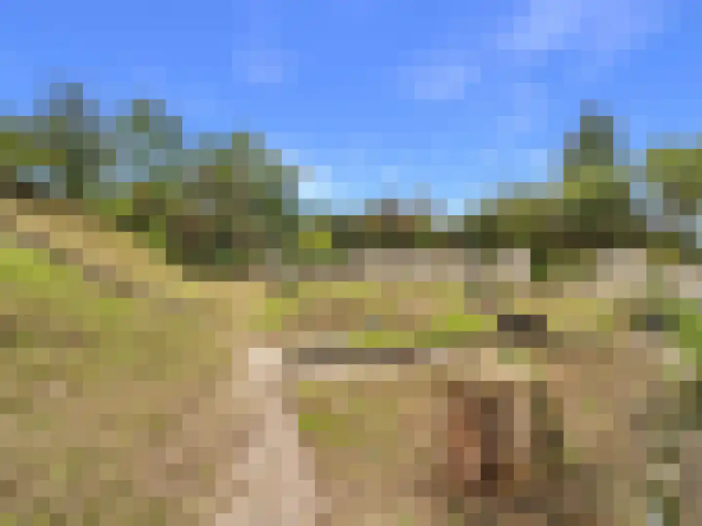 Margaretsedijk 40 Hengstdijk thumbnail 50