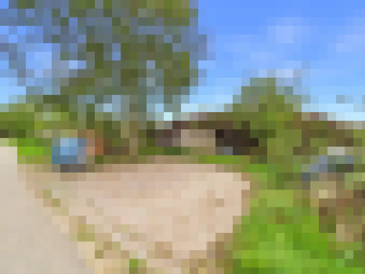 Margaretsedijk 40 Hengstdijk thumbnail 59