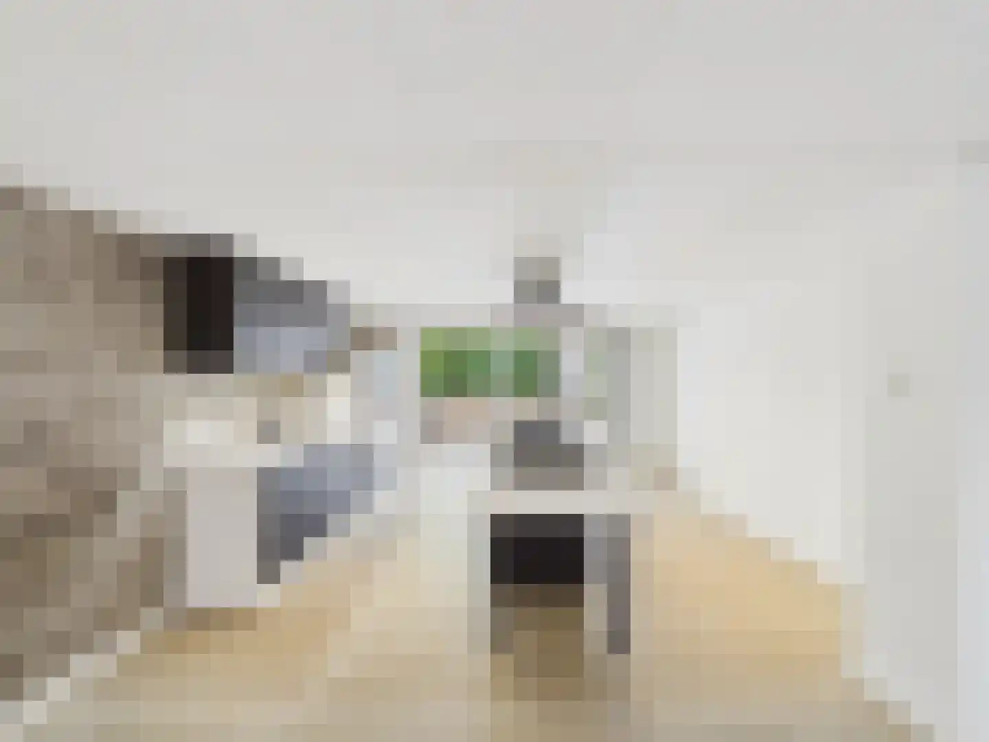 Margaretsedijk 40 Hengstdijk thumbnail 6