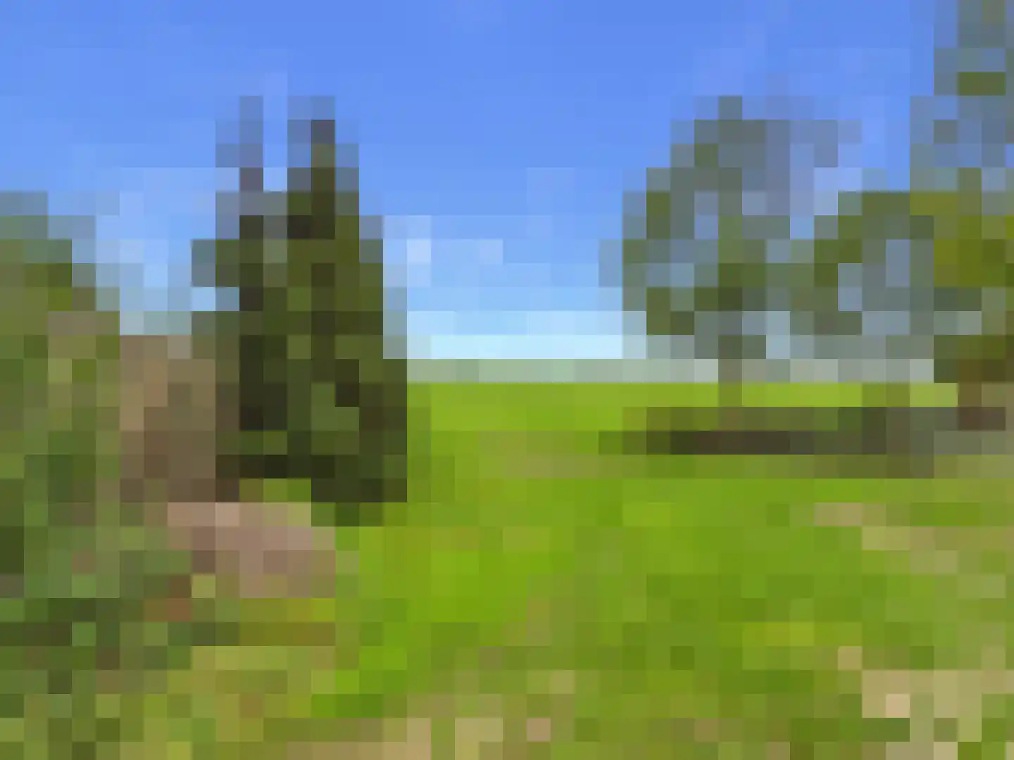 Margaretsedijk 40 Hengstdijk thumbnail 60