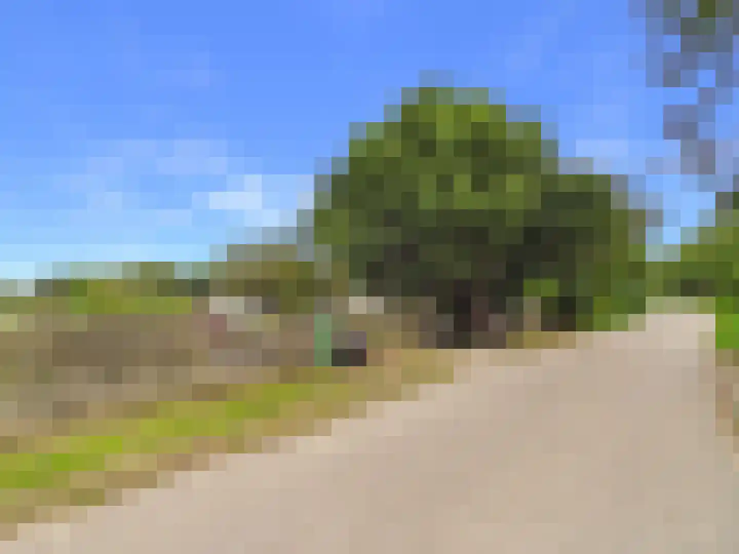 Margaretsedijk 40 Hengstdijk thumbnail 61