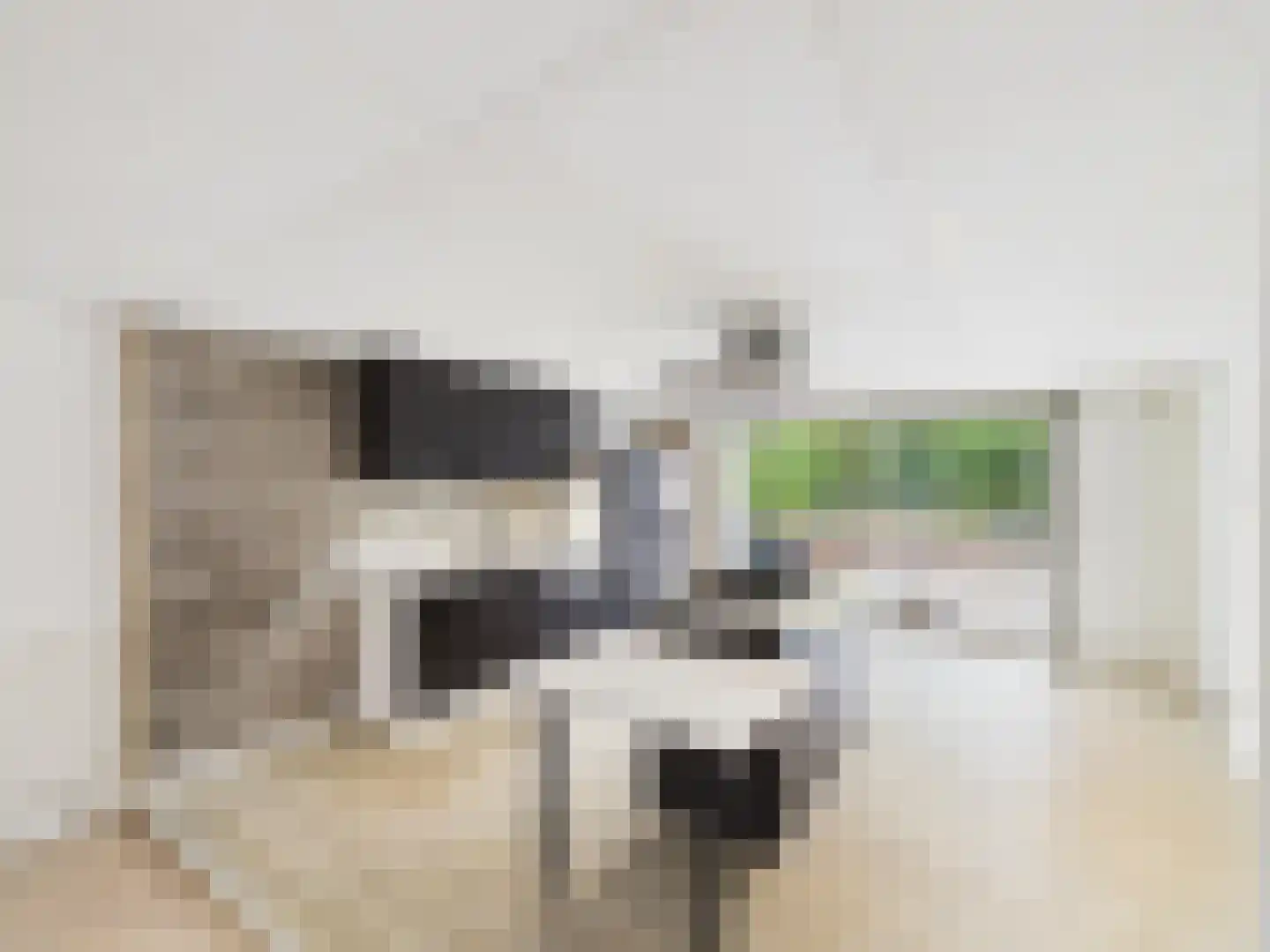 Margaretsedijk 40 Hengstdijk thumbnail 7