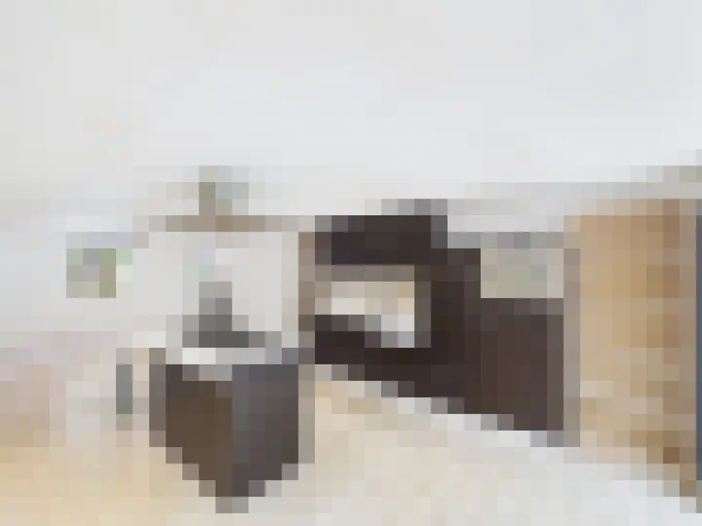 Margaretsedijk 40 Hengstdijk thumbnail 8