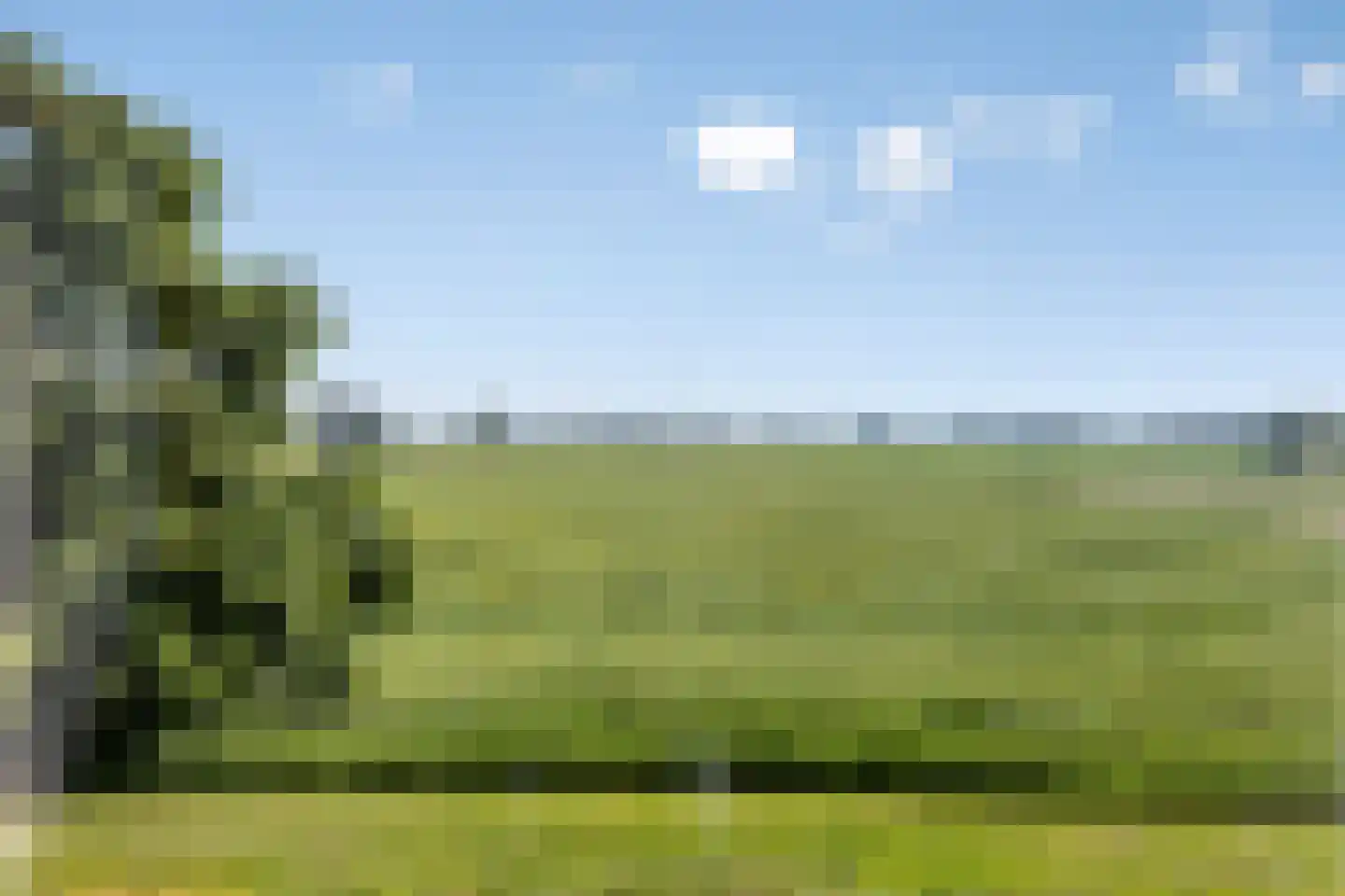 Margaretsedijk 43 Hengstdijk thumbnail 29