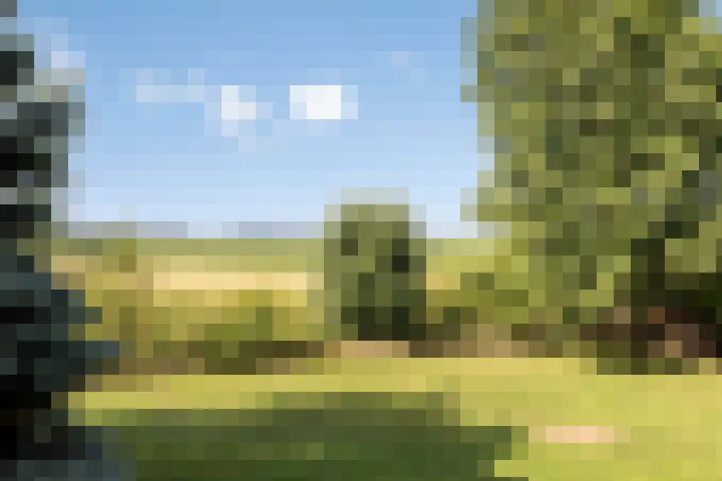 Margaretsedijk 43 Hengstdijk thumbnail 41