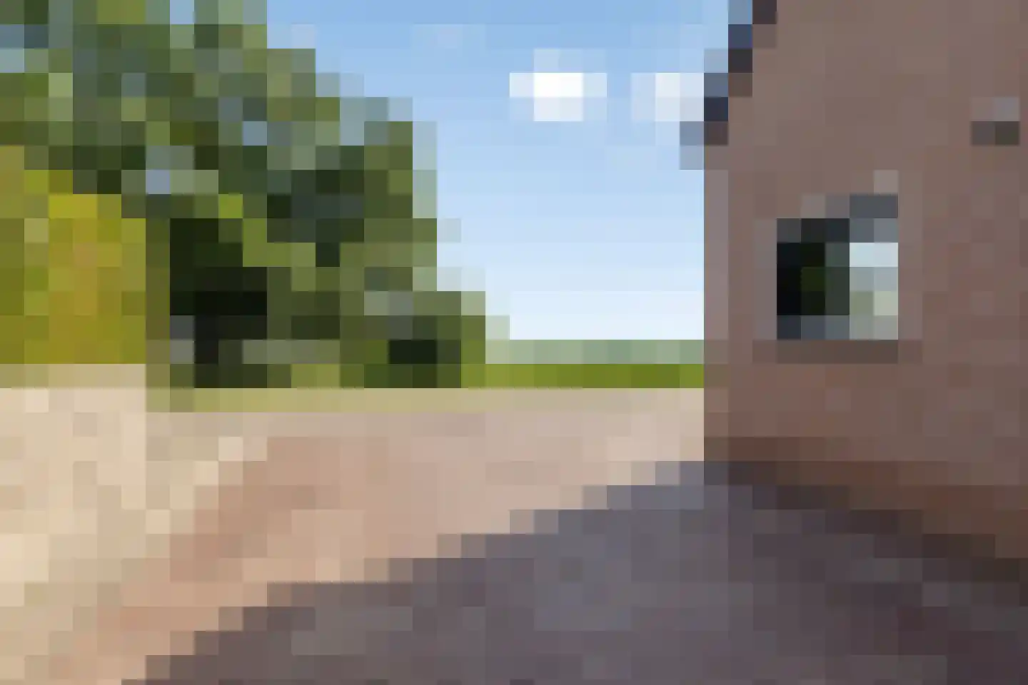 Margaretsedijk 43 Hengstdijk thumbnail 5
