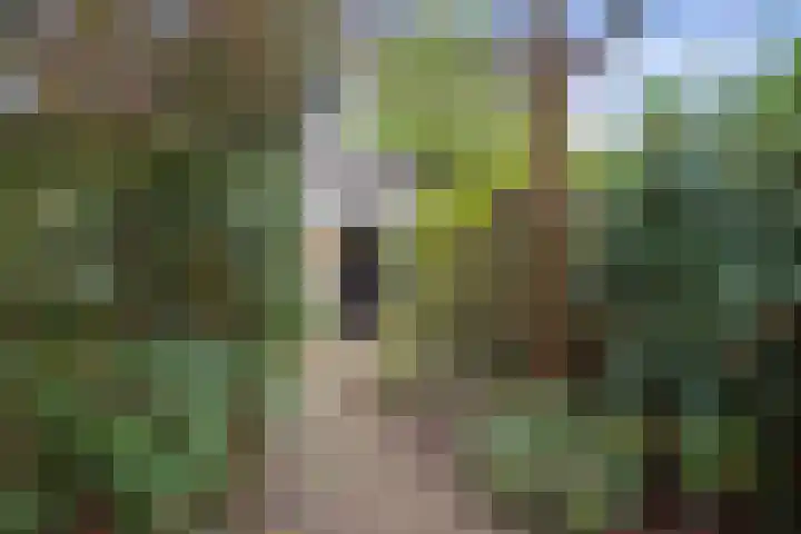 Marggraffstraat 37 Vught thumbnail 28