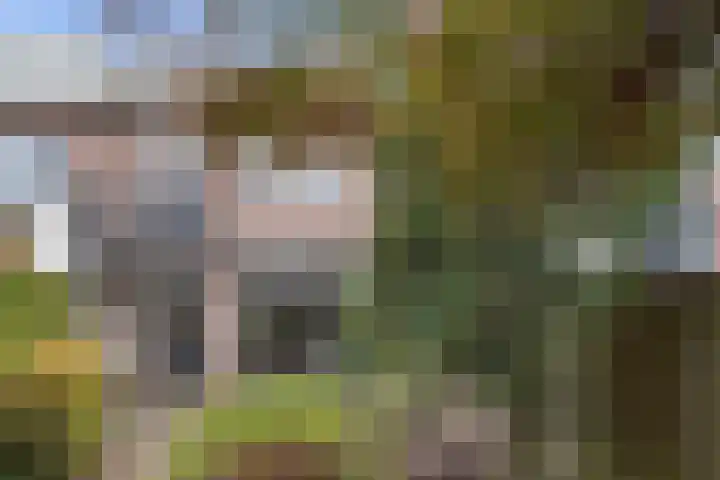Marggraffstraat 37 Vught thumbnail 29