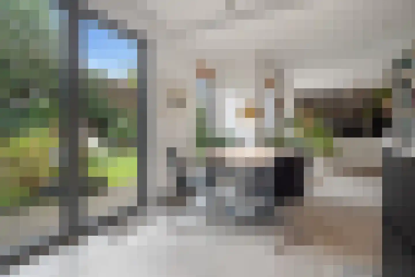 Marggraffstraat 8 Vught thumbnail 13