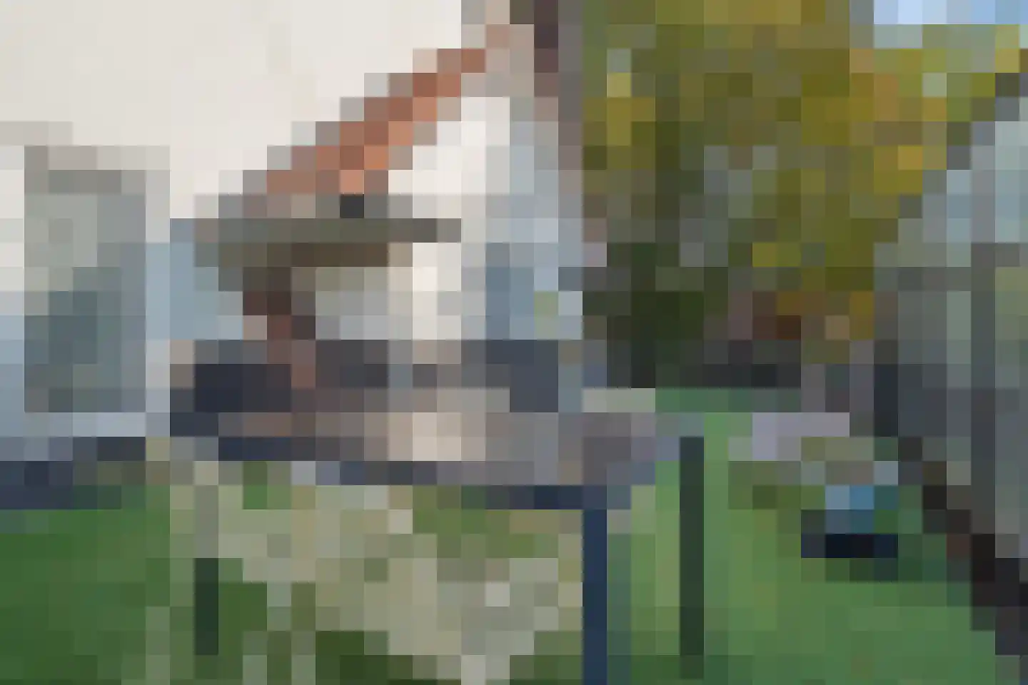 Marggraffstraat 8 Vught thumbnail 40