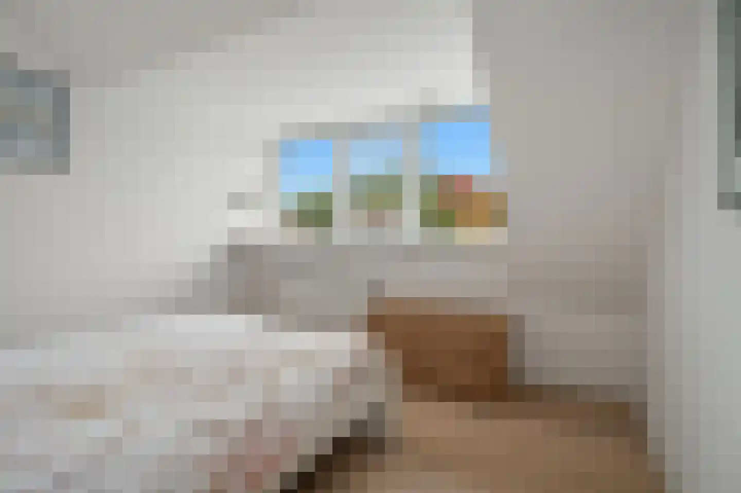 Marggraffstraat 8 Vught thumbnail 45