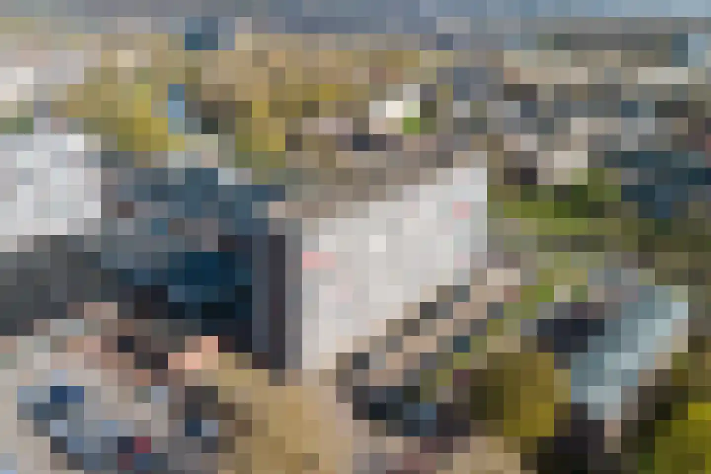 Margijnenenk 189 Deventer thumbnail 31