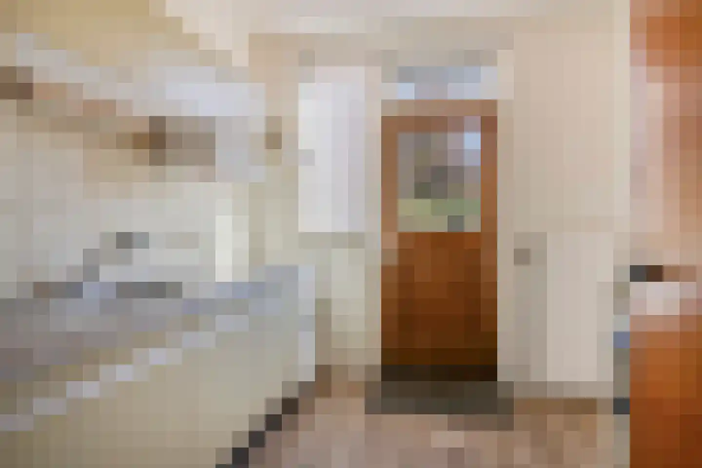 Margijnenenk 2 Deventer thumbnail 11