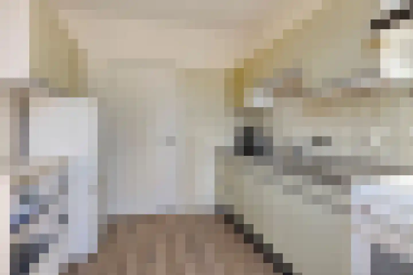 Margijnenenk 2 Deventer thumbnail 13