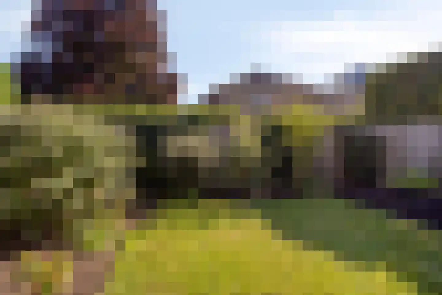 Margijnenenk 2 Deventer thumbnail 19