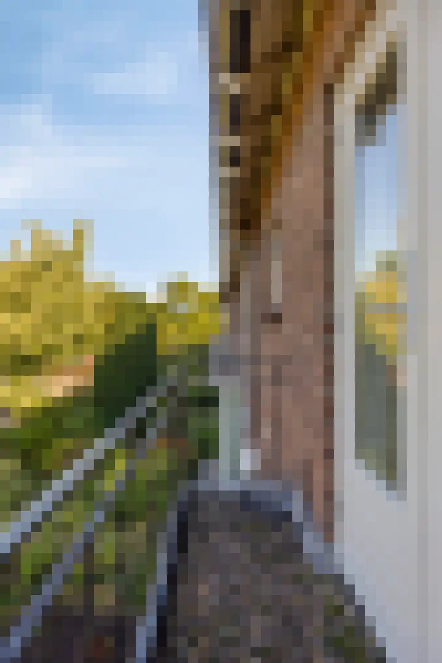 Margijnenenk 2 Deventer thumbnail 26