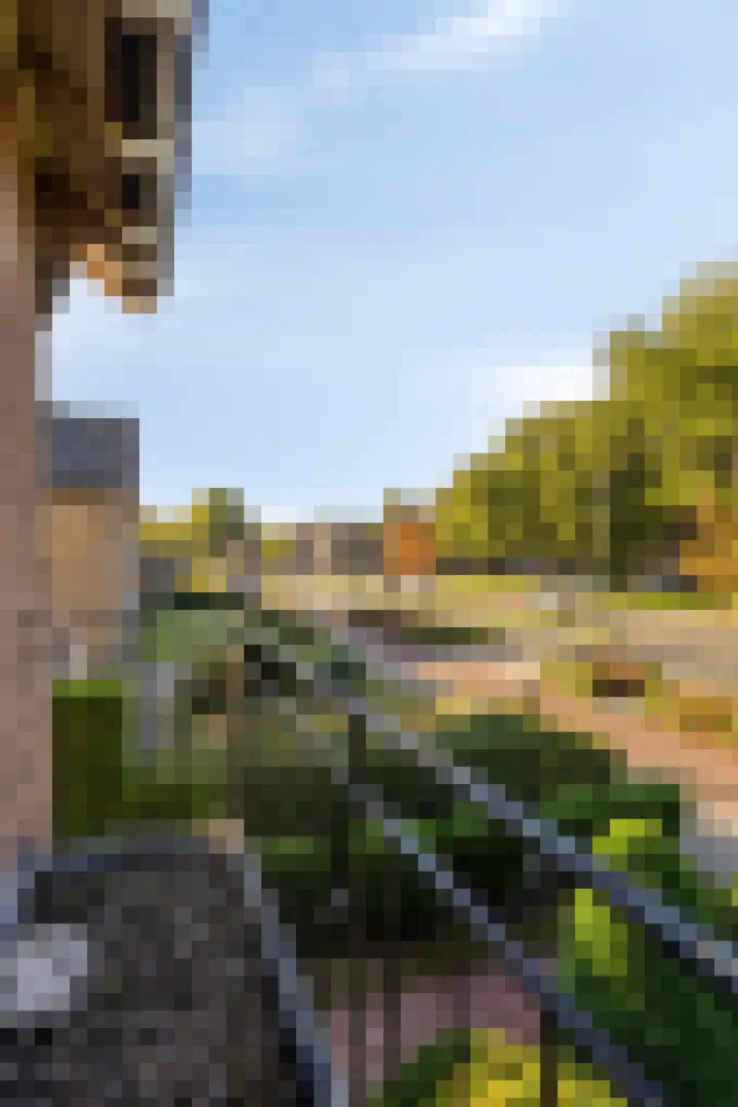 Margijnenenk 2 Deventer thumbnail 27
