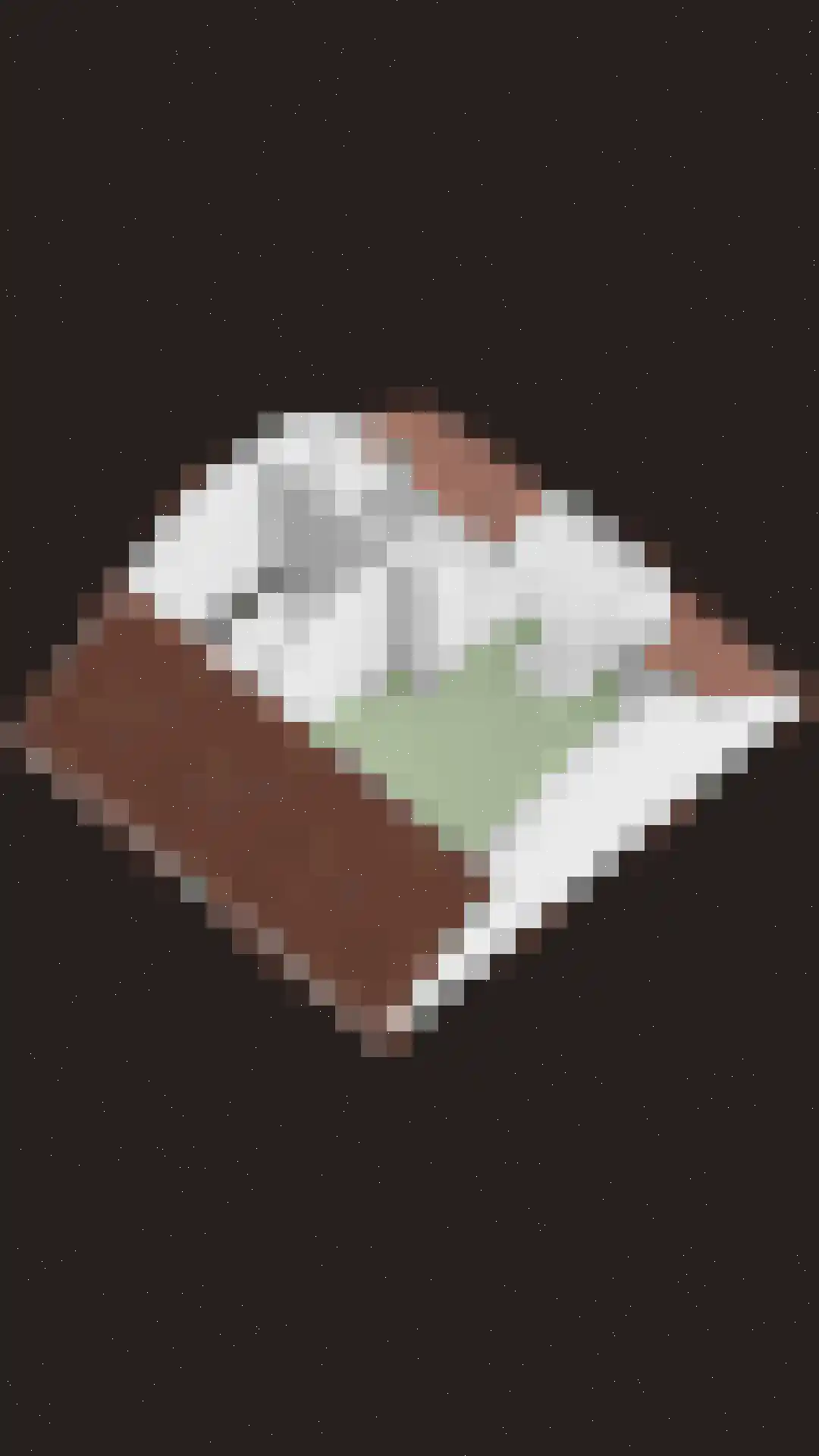 Margijnenenk 2 Deventer thumbnail 47