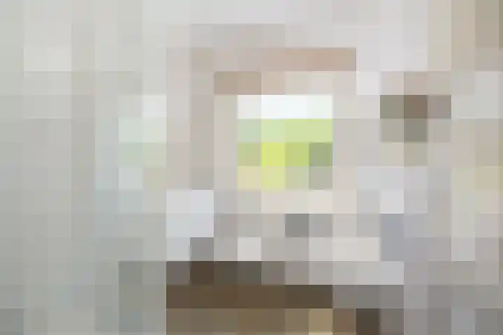 Margijnenenk 20 Deventer thumbnail 13