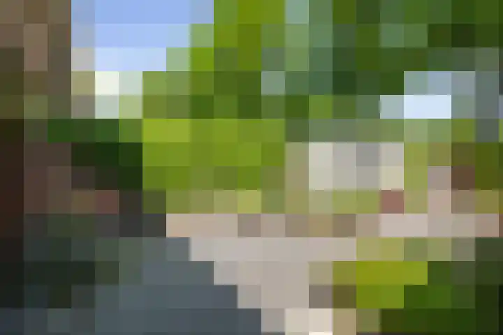 Margijnenenk 20 Deventer thumbnail 18